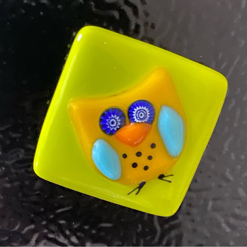 Owl square magnet
